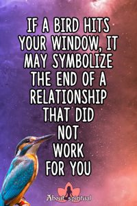 What Does It Mean When A Bird Hits Your Window? Meaning & Symbolism