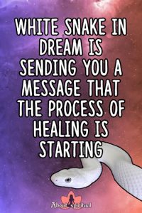 Dreaming Of White Snakes: See Its Eye-Opening Meaning And Symbolism