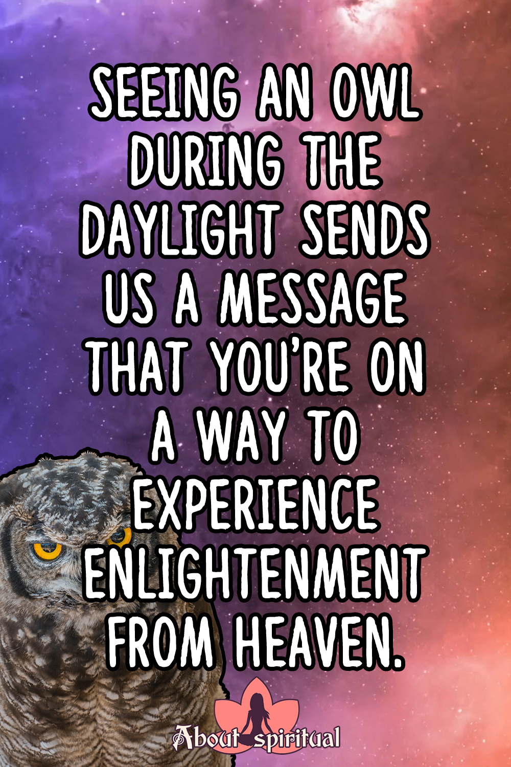 What Does It Mean When You See An Owl? About Spiritual