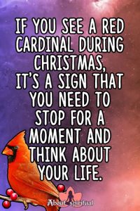 What Does It Mean When You See A Cardinal? Symbolism & Meaning - About