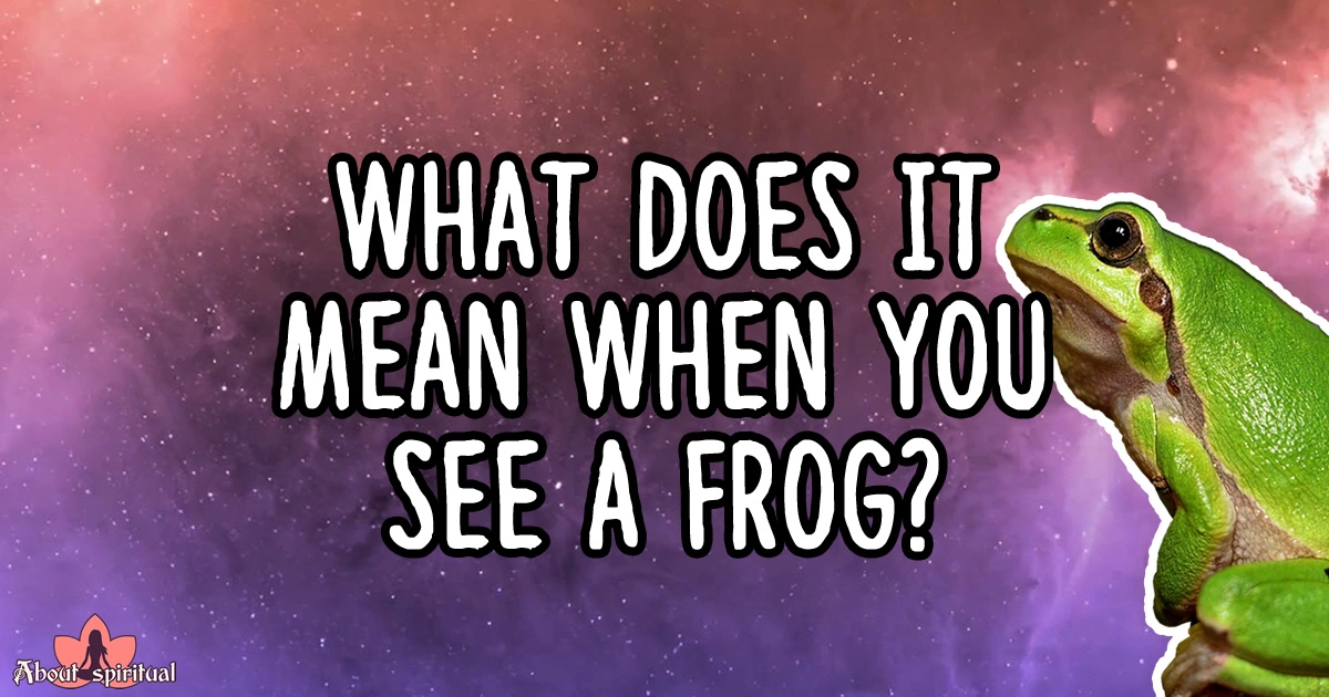 What Does It Mean When You See a Frog? Frog Meaning & Symbolism About