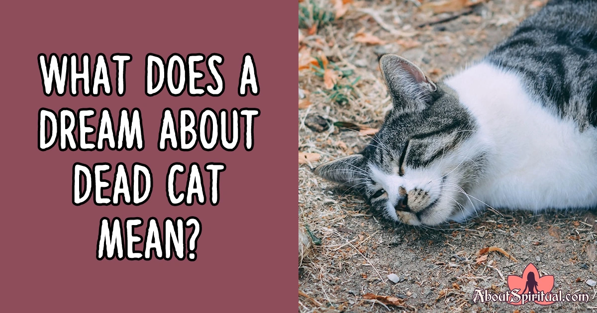 Dream About Dead Cat 11 Meanings & Interpretations About Spiritual